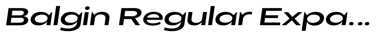 Balgin Regular Expanded Italic